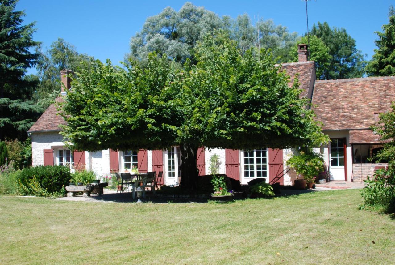 Bed and Breakfast La Petite Marguerite Chitenay Zewnętrze zdjęcie