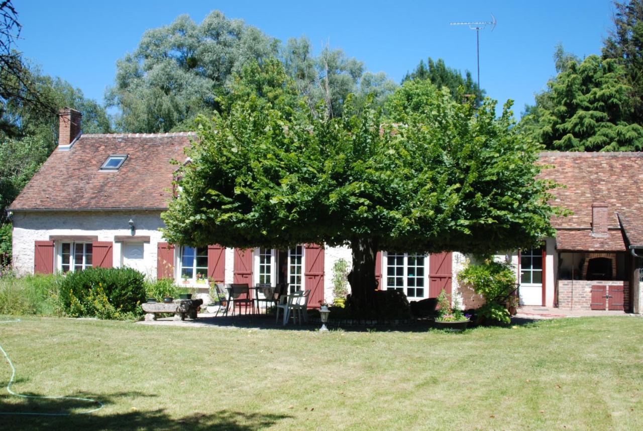 Bed and Breakfast La Petite Marguerite Chitenay Zewnętrze zdjęcie