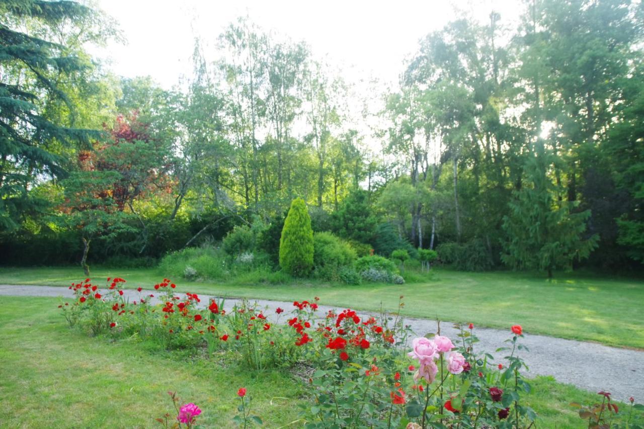 Bed and Breakfast La Petite Marguerite Chitenay Zewnętrze zdjęcie